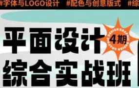 王云飞&大斌平面设计实用综合班第4期【画质高清有素材】