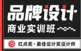 大凡&申也品牌设计商业实训班【画质高清有部分素材】