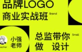 小强老师品牌LOGO商业实战班【画质高清有素材】