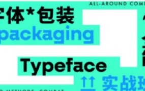 小强字体包装实战课【画质不错有大部分素材】