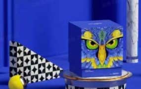 波波课堂刺猬包装全能班第15期【画质高清有素材】