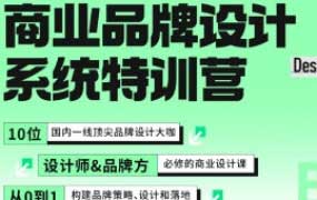 数艺设商业品牌设计系统特训营2024【画质高清只有视频】