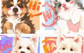 凶猛悍兔色彩专题课2025【画质高清有课件笔刷】