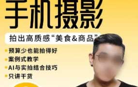 金大力能变现的手机静物摄影系统课2025【画质不错只有视频】