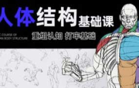 画画的春哥第18期人体结构基础课【画质高清只有视频】